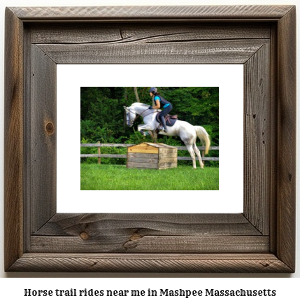 horse trail rides near me in Mashpee, Massachusetts